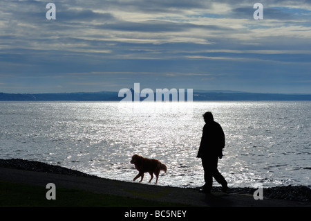 PENZANCE, CORNWALL, Royaume-Uni - 09 JUIN 2009 : silhouette de Dog Walker contre le soleil sur Mounts Bay Banque D'Images