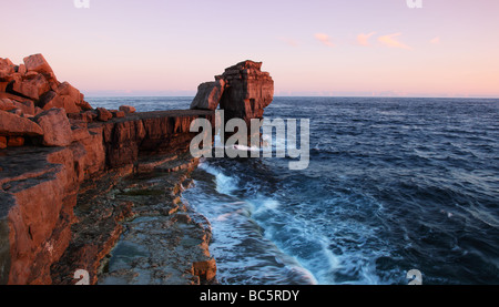 Pulpit Rock est caractéristique côtière près de la pointe sud de l'Île de Portland, Dorset, Angleterre Banque D'Images