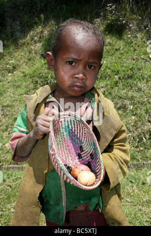 Jeune Madagascar Boy Holding Panier tissé à base de fruits et scarabées Banque D'Images