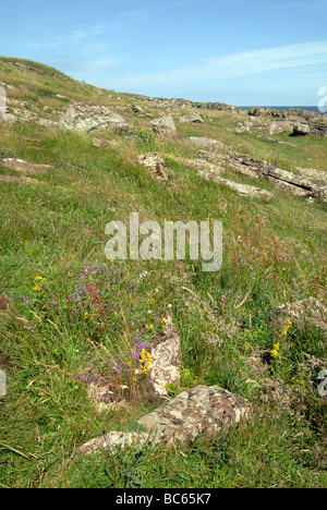La côte sur le Firth of Forth à Crail, Fife. Banque D'Images