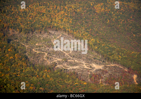 Vue aérienne de l'exploitation du bois sur Lookout Mountain en Géorgie Banque D'Images