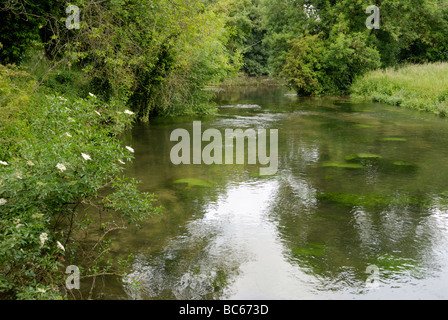 L'Itchen River à Twyford Hampshire Angleterre Banque D'Images