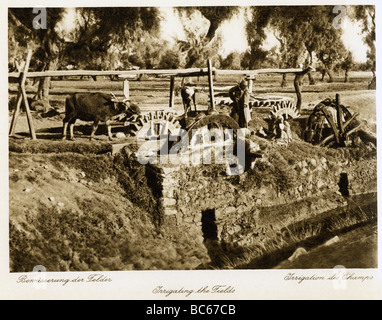 Géographie / voyages, Egypte, agriculture, irrigation d'un champ, 1930, , Banque D'Images