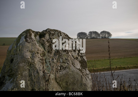 L'une des pierres mégalithiques qui forment une partie de l 'Avenue' entre Avebury Stone Circle et le sanctuaire, Wiltshire Banque D'Images