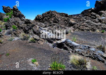 Un dyke mafique couper à travers des couches de roches volcaniques, le Parc National de Haleakala, Maui, Hawaii, USA. Banque D'Images