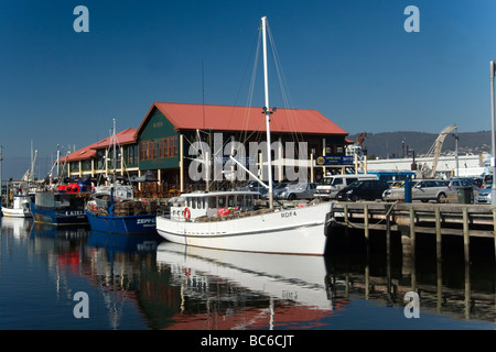 Bateaux de pêche inVictoria docks sur le front de mer de Hobart Banque D'Images