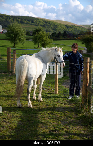 Welsh mountain pony sur une ferme dans le village de Cilmery, près de la ville de Roussillon au nord de Brecon Beacons Banque D'Images