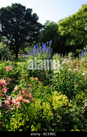 Jardin Anglais aménagé à Cothay Manor, demeure seigneuriale et Manor à Wellington, Somerset, UK Banque D'Images