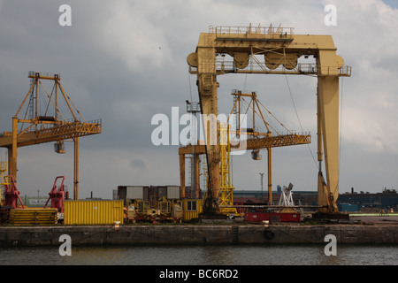 Voir des grues à Leith près d'Edimbourg en Ecosse Banque D'Images