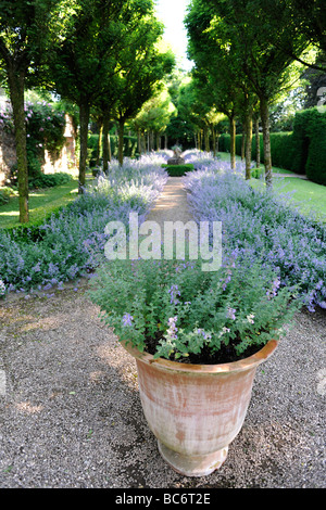 Jardin Anglais aménagé à Cothay Manor, demeure seigneuriale et Manor à Wellington, Somerset, UK Banque D'Images