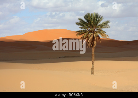 Sable Détails/dunes de sable de l'Erg Chebbi, dans le désert près de Merzouga, Sahara, sud du Maroc - destination Banque D'Images