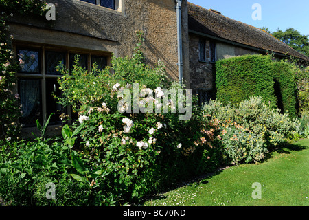 Jardin Anglais aménagé à Cothay Manor, demeure seigneuriale et Manor à Wellington, Somerset, UK Banque D'Images