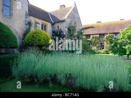 Jardin Anglais aménagé à Cothay Manor, demeure seigneuriale et Manor à Wellington, Somerset, UK Banque D'Images