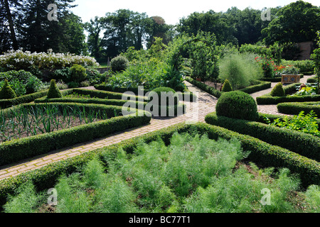 De plus en plus de légumes à Holcombe cour jardin dans le Devon, UK Banque D'Images