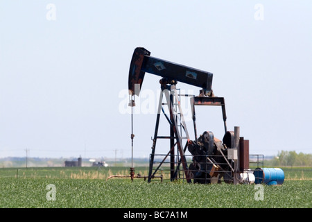 Pumpjack puits de pétrole dans le comté de Russell Kansas USA Banque D'Images