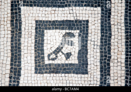 Dessins en mosaïque sur le plancher de l'Italie d'Herculanum complexe des bains Banque D'Images