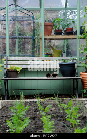 Un jardin biologique avec les émissions de scène et des lits surélevés plein de feuilles de salades organiques cultivés et légumes, uk Banque D'Images