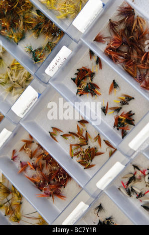 Assortiment de mouches de pêche à la truite en vente dans des boîtes Banque D'Images