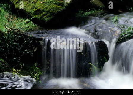 Cascade dans le Dartmoor Stream,Merrivale,Tavistock Devon. Banque D'Images