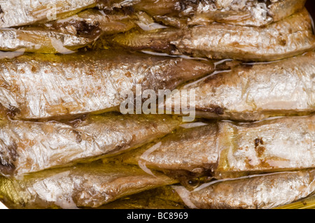 Norwegian sardines à l'huile de boîte avec vinagrette sur fond blanc Banque D'Images