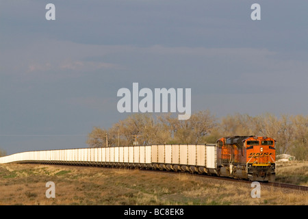 La BNSF Railway train de fret le transport de wagons de charbon près de Ft Morgan Colorado USA Banque D'Images