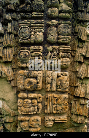 Ces glyphes mayas sculptés sur le dos d'une stèle de raconter l'histoire de leur civilisation les ruines de Copan HONDURAS Banque D'Images