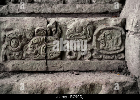 Les glyphes mayas disent l'histoire culturelle sur escalier hiéroglyphique de structure AD 26 755 les ruines de Copan HONDURAS Banque D'Images