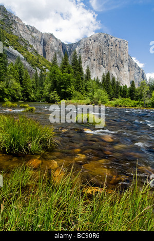 La vallée Yosemite, Yosemite National Park, Californie Banque D'Images