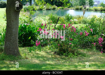 Lac dans un jardin anglais aménagé en parc Swan Mews, Somerset, UK Banque D'Images