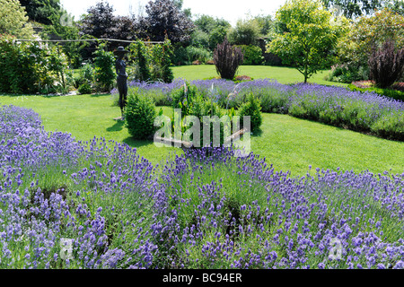 Jardin Anglais aménagé en parc Swan Mews, Somerset, UK Banque D'Images