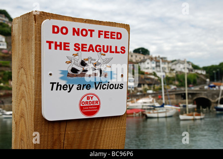 Ne pas nourrir les mouettes' signe à looe, à Cornwall, uk Banque D'Images