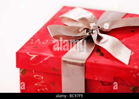 Valentines Day Theme Studio shot against white background Banque D'Images