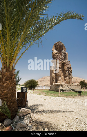 L'un des colosses de Memnon statues sur la rive ouest du Nil à Louxor, Egypte Banque D'Images