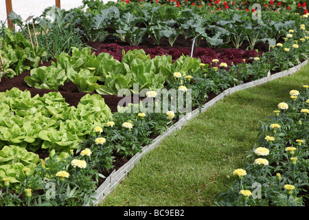 Potager aménagé en jardin potager de la Maison Blanche Bloom 2009 Banque D'Images