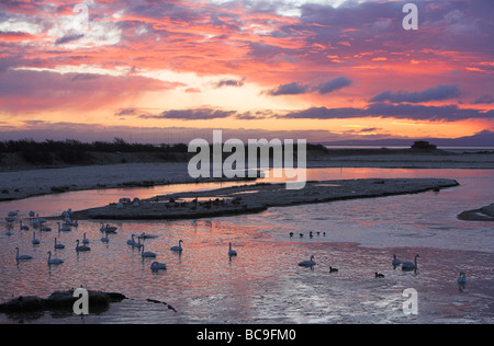 Lever du soleil sur une observation des oiseaux à cacher et Caerlaverock le Solway Firth, Dumfries et Galloway, en décembre. Banque D'Images