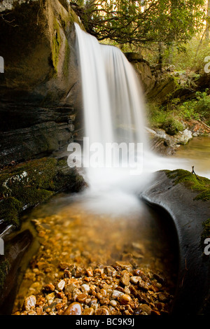 Raper Creek Falls est situé au nord de la Géorgie dans le comté de Habersham. Les chutes sont à environ 15 m de hauteur et unique dans l'aspect que le flux est en cours d'exécution sur un plateau rock diagonale avant de tomber dans la piscine ci-dessous. Banque D'Images