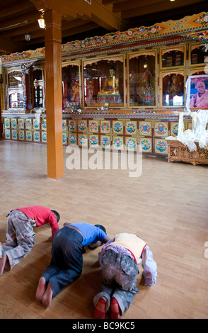 Les garçons tibétains se prosternant devant le portrait du dalaï-lama. Jivatsal temple tibétain. Choglamsar Banque D'Images