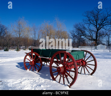 Conseil Buck de chariot tiré par des chevaux est inactive dans la neige à Cedar Lake, Indiana, USA. Banque D'Images