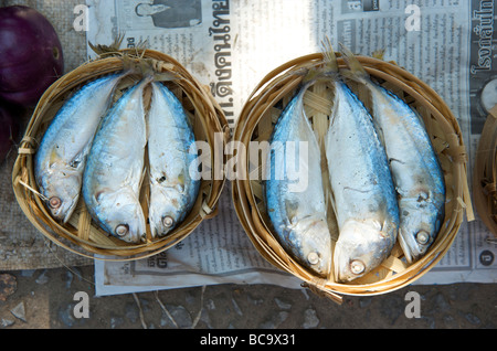 Des bateaux à vapeur en bambou bleu contenant de l'eau douce Poissons du Mékong Banque D'Images