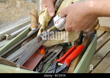 Outils à main de jardin d'être huilés au début du printemps Mars UK Norfolk Banque D'Images