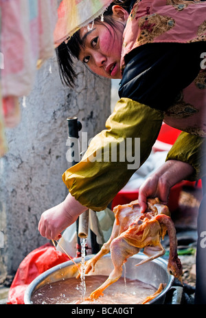 Cuisinier chinois à Shanghai Chine lave un canard Banque D'Images