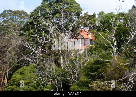 Maisons à Mosman Bay Sydney NSW Australie Banque D'Images