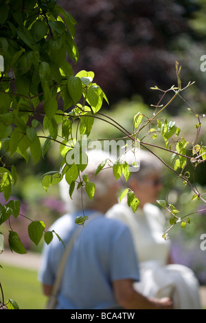 Bonython Estate gardens Banque D'Images