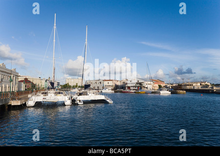 Catamarans à mouiller à port, Bridgetown, Barbados, Caribbean Banque D'Images