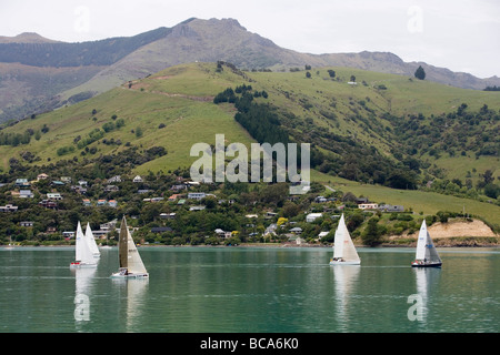 Voiliers dans le port d'Akaroa, New Caledonia, la péninsule de Banks, île du Sud, Nouvelle-Zélande Banque D'Images