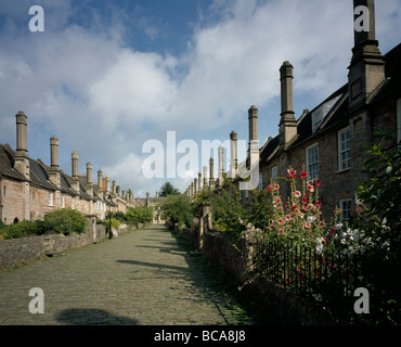 WWells Vicars' près de la fin de l'avenue des maisons médiévales pour la Cathédrale Vue du clergé de roses trémières. Banque D'Images