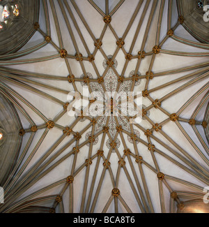 Wells Cathedral : Chapelle Dame plafond voûte en étoile Banque D'Images