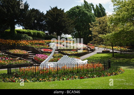 Affichage floral et le fameux swan dans Stapenhill Gardens, Burton upon Trent, Staffordshire Banque D'Images