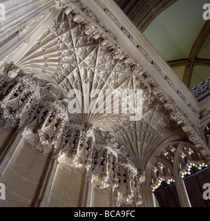 Wells Cathedral : Ecole du ventilateur en pierre sculptée sur canopée de Chantry Chapelle dans la nef Banque D'Images