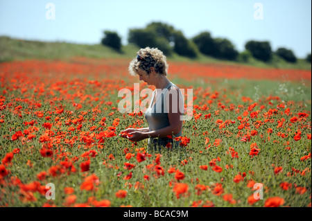 Blonde femme debout dans un champ de coquelicots juste au nord de Brighton à Brighton and Hove dans l'East Sussex UK Banque D'Images